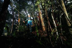 BIB: 
                            <button type="button" onclick="openModal(26389120)" class="btn btn-primary btn-sm float-right btn-popup" data-toggle="modal" data-target=".modal-high-quality">
                        <i class="fas fa-shopping-cart"></i> Add to Cart
                    </button>
                                            <button type="button" onclick="isThisMe(26389120, true)" class="btn btn-success btn-sm float-right btn-popup btn-isme hidden" data-toggle="tooltip" data-placement="bottom" title="นี่คือรูปของคุณใช่ไหม คลิกที่นี่เพื่อเอาเข้าอัลบั้ม">
                        <i class="fas fa-plus"></i> Add to album
                    </button>
                    <button type="button" onclick="isThisMe(26389120, false)" class="btn btn-warning btn-sm float-right btn-popup btn-isnotme hidden">
                        <i class="fas fa-ban"></i> Remove from album
                    </button>