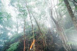 BIB: 
                            <button type="button" onclick="openModal(26402310)" class="btn btn-primary btn-sm float-right btn-popup" data-toggle="modal" data-target=".modal-high-quality">
                        <i class="fas fa-shopping-cart"></i> Add to Cart
                    </button>
                                            <button type="button" onclick="isThisMe(26402310, true)" class="btn btn-success btn-sm float-right btn-popup btn-isme hidden" data-toggle="tooltip" data-placement="bottom" title="นี่คือรูปของคุณใช่ไหม คลิกที่นี่เพื่อเอาเข้าอัลบั้ม">
                        <i class="fas fa-plus"></i> Add to album
                    </button>
                    <button type="button" onclick="isThisMe(26402310, false)" class="btn btn-warning btn-sm float-right btn-popup btn-isnotme hidden">
                        <i class="fas fa-ban"></i> Remove from album
                    </button>