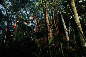 BIB: 
                            <button type="button" onclick="openModal(26393621)" class="btn btn-primary btn-sm float-right btn-popup" data-toggle="modal" data-target=".modal-high-quality">
                        <i class="fas fa-shopping-cart"></i> Add to Cart
                    </button>
                                            <button type="button" onclick="isThisMe(26393621, true)" class="btn btn-success btn-sm float-right btn-popup btn-isme hidden" data-toggle="tooltip" data-placement="bottom" title="นี่คือรูปของคุณใช่ไหม คลิกที่นี่เพื่อเอาเข้าอัลบั้ม">
                        <i class="fas fa-plus"></i> Add to album
                    </button>
                    <button type="button" onclick="isThisMe(26393621, false)" class="btn btn-warning btn-sm float-right btn-popup btn-isnotme hidden">
                        <i class="fas fa-ban"></i> Remove from album
                    </button>