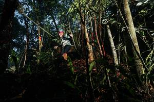 BIB: 
                            <button type="button" onclick="openModal(26390160)" class="btn btn-primary btn-sm float-right btn-popup" data-toggle="modal" data-target=".modal-high-quality">
                        <i class="fas fa-shopping-cart"></i> Add to Cart
                    </button>
                                            <button type="button" onclick="isThisMe(26390160, true)" class="btn btn-success btn-sm float-right btn-popup btn-isme hidden" data-toggle="tooltip" data-placement="bottom" title="นี่คือรูปของคุณใช่ไหม คลิกที่นี่เพื่อเอาเข้าอัลบั้ม">
                        <i class="fas fa-plus"></i> Add to album
                    </button>
                    <button type="button" onclick="isThisMe(26390160, false)" class="btn btn-warning btn-sm float-right btn-popup btn-isnotme hidden">
                        <i class="fas fa-ban"></i> Remove from album
                    </button>