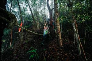 BIB: 
                            <button type="button" onclick="openModal(26401912)" class="btn btn-primary btn-sm float-right btn-popup" data-toggle="modal" data-target=".modal-high-quality">
                        <i class="fas fa-shopping-cart"></i> Add to Cart
                    </button>
                                            <button type="button" onclick="isThisMe(26401912, true)" class="btn btn-success btn-sm float-right btn-popup btn-isme hidden" data-toggle="tooltip" data-placement="bottom" title="นี่คือรูปของคุณใช่ไหม คลิกที่นี่เพื่อเอาเข้าอัลบั้ม">
                        <i class="fas fa-plus"></i> Add to album
                    </button>
                    <button type="button" onclick="isThisMe(26401912, false)" class="btn btn-warning btn-sm float-right btn-popup btn-isnotme hidden">
                        <i class="fas fa-ban"></i> Remove from album
                    </button>