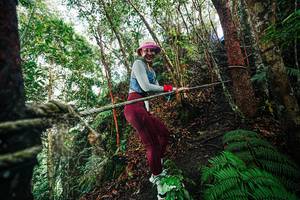 BIB: 
                            <button type="button" onclick="openModal(26403068)" class="btn btn-primary btn-sm float-right btn-popup" data-toggle="modal" data-target=".modal-high-quality">
                        <i class="fas fa-shopping-cart"></i> Add to Cart
                    </button>
                                            <button type="button" onclick="isThisMe(26403068, true)" class="btn btn-success btn-sm float-right btn-popup btn-isme hidden" data-toggle="tooltip" data-placement="bottom" title="นี่คือรูปของคุณใช่ไหม คลิกที่นี่เพื่อเอาเข้าอัลบั้ม">
                        <i class="fas fa-plus"></i> Add to album
                    </button>
                    <button type="button" onclick="isThisMe(26403068, false)" class="btn btn-warning btn-sm float-right btn-popup btn-isnotme hidden">
                        <i class="fas fa-ban"></i> Remove from album
                    </button>