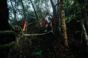 BIB: 
                            <button type="button" onclick="openModal(26400995)" class="btn btn-primary btn-sm float-right btn-popup" data-toggle="modal" data-target=".modal-high-quality">
                        <i class="fas fa-shopping-cart"></i> Add to Cart
                    </button>
                                            <button type="button" onclick="isThisMe(26400995, true)" class="btn btn-success btn-sm float-right btn-popup btn-isme hidden" data-toggle="tooltip" data-placement="bottom" title="นี่คือรูปของคุณใช่ไหม คลิกที่นี่เพื่อเอาเข้าอัลบั้ม">
                        <i class="fas fa-plus"></i> Add to album
                    </button>
                    <button type="button" onclick="isThisMe(26400995, false)" class="btn btn-warning btn-sm float-right btn-popup btn-isnotme hidden">
                        <i class="fas fa-ban"></i> Remove from album
                    </button>