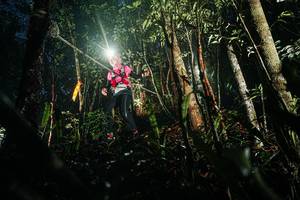 BIB: 
                            <button type="button" onclick="openModal(26386454)" class="btn btn-primary btn-sm float-right btn-popup" data-toggle="modal" data-target=".modal-high-quality">
                        <i class="fas fa-shopping-cart"></i> Add to Cart
                    </button>
                                            <button type="button" onclick="isThisMe(26386454, true)" class="btn btn-success btn-sm float-right btn-popup btn-isme hidden" data-toggle="tooltip" data-placement="bottom" title="นี่คือรูปของคุณใช่ไหม คลิกที่นี่เพื่อเอาเข้าอัลบั้ม">
                        <i class="fas fa-plus"></i> Add to album
                    </button>
                    <button type="button" onclick="isThisMe(26386454, false)" class="btn btn-warning btn-sm float-right btn-popup btn-isnotme hidden">
                        <i class="fas fa-ban"></i> Remove from album
                    </button>