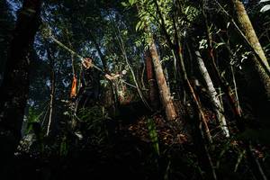 BIB: 
                            <button type="button" onclick="openModal(26387844)" class="btn btn-primary btn-sm float-right btn-popup" data-toggle="modal" data-target=".modal-high-quality">
                        <i class="fas fa-shopping-cart"></i> Add to Cart
                    </button>
                                            <button type="button" onclick="isThisMe(26387844, true)" class="btn btn-success btn-sm float-right btn-popup btn-isme hidden" data-toggle="tooltip" data-placement="bottom" title="นี่คือรูปของคุณใช่ไหม คลิกที่นี่เพื่อเอาเข้าอัลบั้ม">
                        <i class="fas fa-plus"></i> Add to album
                    </button>
                    <button type="button" onclick="isThisMe(26387844, false)" class="btn btn-warning btn-sm float-right btn-popup btn-isnotme hidden">
                        <i class="fas fa-ban"></i> Remove from album
                    </button>