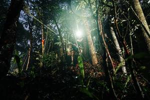 BIB: 
                            <button type="button" onclick="openModal(26388375)" class="btn btn-primary btn-sm float-right btn-popup" data-toggle="modal" data-target=".modal-high-quality">
                        <i class="fas fa-shopping-cart"></i> Add to Cart
                    </button>
                                            <button type="button" onclick="isThisMe(26388375, true)" class="btn btn-success btn-sm float-right btn-popup btn-isme hidden" data-toggle="tooltip" data-placement="bottom" title="นี่คือรูปของคุณใช่ไหม คลิกที่นี่เพื่อเอาเข้าอัลบั้ม">
                        <i class="fas fa-plus"></i> Add to album
                    </button>
                    <button type="button" onclick="isThisMe(26388375, false)" class="btn btn-warning btn-sm float-right btn-popup btn-isnotme hidden">
                        <i class="fas fa-ban"></i> Remove from album
                    </button>