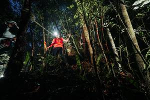 BIB: 
                            <button type="button" onclick="openModal(26387049)" class="btn btn-primary btn-sm float-right btn-popup" data-toggle="modal" data-target=".modal-high-quality">
                        <i class="fas fa-shopping-cart"></i> Add to Cart
                    </button>
                                            <button type="button" onclick="isThisMe(26387049, true)" class="btn btn-success btn-sm float-right btn-popup btn-isme hidden" data-toggle="tooltip" data-placement="bottom" title="นี่คือรูปของคุณใช่ไหม คลิกที่นี่เพื่อเอาเข้าอัลบั้ม">
                        <i class="fas fa-plus"></i> Add to album
                    </button>
                    <button type="button" onclick="isThisMe(26387049, false)" class="btn btn-warning btn-sm float-right btn-popup btn-isnotme hidden">
                        <i class="fas fa-ban"></i> Remove from album
                    </button>