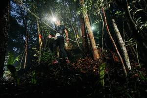 BIB: 
                            <button type="button" onclick="openModal(26388177)" class="btn btn-primary btn-sm float-right btn-popup" data-toggle="modal" data-target=".modal-high-quality">
                        <i class="fas fa-shopping-cart"></i> Add to Cart
                    </button>
                                            <button type="button" onclick="isThisMe(26388177, true)" class="btn btn-success btn-sm float-right btn-popup btn-isme hidden" data-toggle="tooltip" data-placement="bottom" title="นี่คือรูปของคุณใช่ไหม คลิกที่นี่เพื่อเอาเข้าอัลบั้ม">
                        <i class="fas fa-plus"></i> Add to album
                    </button>
                    <button type="button" onclick="isThisMe(26388177, false)" class="btn btn-warning btn-sm float-right btn-popup btn-isnotme hidden">
                        <i class="fas fa-ban"></i> Remove from album
                    </button>