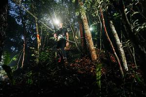 BIB: 
                            <button type="button" onclick="openModal(26388178)" class="btn btn-primary btn-sm float-right btn-popup" data-toggle="modal" data-target=".modal-high-quality">
                        <i class="fas fa-shopping-cart"></i> Add to Cart
                    </button>
                                            <button type="button" onclick="isThisMe(26388178, true)" class="btn btn-success btn-sm float-right btn-popup btn-isme hidden" data-toggle="tooltip" data-placement="bottom" title="นี่คือรูปของคุณใช่ไหม คลิกที่นี่เพื่อเอาเข้าอัลบั้ม">
                        <i class="fas fa-plus"></i> Add to album
                    </button>
                    <button type="button" onclick="isThisMe(26388178, false)" class="btn btn-warning btn-sm float-right btn-popup btn-isnotme hidden">
                        <i class="fas fa-ban"></i> Remove from album
                    </button>