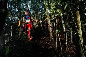 BIB: 
                            <button type="button" onclick="openModal(26393881)" class="btn btn-primary btn-sm float-right btn-popup" data-toggle="modal" data-target=".modal-high-quality">
                        <i class="fas fa-shopping-cart"></i> Add to Cart
                    </button>
                                            <button type="button" onclick="isThisMe(26393881, true)" class="btn btn-success btn-sm float-right btn-popup btn-isme hidden" data-toggle="tooltip" data-placement="bottom" title="นี่คือรูปของคุณใช่ไหม คลิกที่นี่เพื่อเอาเข้าอัลบั้ม">
                        <i class="fas fa-plus"></i> Add to album
                    </button>
                    <button type="button" onclick="isThisMe(26393881, false)" class="btn btn-warning btn-sm float-right btn-popup btn-isnotme hidden">
                        <i class="fas fa-ban"></i> Remove from album
                    </button>