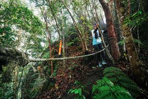 BIB: 
                            <button type="button" onclick="openModal(26402968)" class="btn btn-primary btn-sm float-right btn-popup" data-toggle="modal" data-target=".modal-high-quality">
                        <i class="fas fa-shopping-cart"></i> Add to Cart
                    </button>
                                            <button type="button" onclick="isThisMe(26402968, true)" class="btn btn-success btn-sm float-right btn-popup btn-isme hidden" data-toggle="tooltip" data-placement="bottom" title="นี่คือรูปของคุณใช่ไหม คลิกที่นี่เพื่อเอาเข้าอัลบั้ม">
                        <i class="fas fa-plus"></i> Add to album
                    </button>
                    <button type="button" onclick="isThisMe(26402968, false)" class="btn btn-warning btn-sm float-right btn-popup btn-isnotme hidden">
                        <i class="fas fa-ban"></i> Remove from album
                    </button>