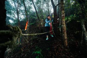 BIB: 
                            <button type="button" onclick="openModal(26401235)" class="btn btn-primary btn-sm float-right btn-popup" data-toggle="modal" data-target=".modal-high-quality">
                        <i class="fas fa-shopping-cart"></i> Add to Cart
                    </button>
                                            <button type="button" onclick="isThisMe(26401235, true)" class="btn btn-success btn-sm float-right btn-popup btn-isme hidden" data-toggle="tooltip" data-placement="bottom" title="นี่คือรูปของคุณใช่ไหม คลิกที่นี่เพื่อเอาเข้าอัลบั้ม">
                        <i class="fas fa-plus"></i> Add to album
                    </button>
                    <button type="button" onclick="isThisMe(26401235, false)" class="btn btn-warning btn-sm float-right btn-popup btn-isnotme hidden">
                        <i class="fas fa-ban"></i> Remove from album
                    </button>