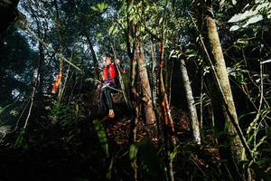 BIB: 
                            <button type="button" onclick="openModal(26392680)" class="btn btn-primary btn-sm float-right btn-popup" data-toggle="modal" data-target=".modal-high-quality">
                        <i class="fas fa-shopping-cart"></i> Add to Cart
                    </button>
                                            <button type="button" onclick="isThisMe(26392680, true)" class="btn btn-success btn-sm float-right btn-popup btn-isme hidden" data-toggle="tooltip" data-placement="bottom" title="นี่คือรูปของคุณใช่ไหม คลิกที่นี่เพื่อเอาเข้าอัลบั้ม">
                        <i class="fas fa-plus"></i> Add to album
                    </button>
                    <button type="button" onclick="isThisMe(26392680, false)" class="btn btn-warning btn-sm float-right btn-popup btn-isnotme hidden">
                        <i class="fas fa-ban"></i> Remove from album
                    </button>