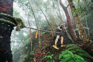 BIB: 
                            <button type="button" onclick="openModal(26402462)" class="btn btn-primary btn-sm float-right btn-popup" data-toggle="modal" data-target=".modal-high-quality">
                        <i class="fas fa-shopping-cart"></i> Add to Cart
                    </button>
                                            <button type="button" onclick="isThisMe(26402462, true)" class="btn btn-success btn-sm float-right btn-popup btn-isme hidden" data-toggle="tooltip" data-placement="bottom" title="นี่คือรูปของคุณใช่ไหม คลิกที่นี่เพื่อเอาเข้าอัลบั้ม">
                        <i class="fas fa-plus"></i> Add to album
                    </button>
                    <button type="button" onclick="isThisMe(26402462, false)" class="btn btn-warning btn-sm float-right btn-popup btn-isnotme hidden">
                        <i class="fas fa-ban"></i> Remove from album
                    </button>