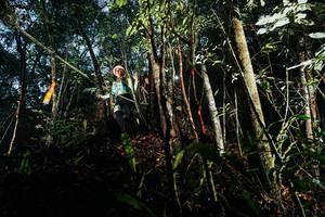 BIB: 
                            <button type="button" onclick="openModal(26391679)" class="btn btn-primary btn-sm float-right btn-popup" data-toggle="modal" data-target=".modal-high-quality">
                        <i class="fas fa-shopping-cart"></i> Add to Cart
                    </button>
                                            <button type="button" onclick="isThisMe(26391679, true)" class="btn btn-success btn-sm float-right btn-popup btn-isme hidden" data-toggle="tooltip" data-placement="bottom" title="นี่คือรูปของคุณใช่ไหม คลิกที่นี่เพื่อเอาเข้าอัลบั้ม">
                        <i class="fas fa-plus"></i> Add to album
                    </button>
                    <button type="button" onclick="isThisMe(26391679, false)" class="btn btn-warning btn-sm float-right btn-popup btn-isnotme hidden">
                        <i class="fas fa-ban"></i> Remove from album
                    </button>