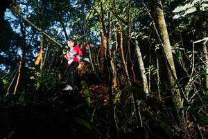 BIB: 
                            <button type="button" onclick="openModal(26391544)" class="btn btn-primary btn-sm float-right btn-popup" data-toggle="modal" data-target=".modal-high-quality">
                        <i class="fas fa-shopping-cart"></i> Add to Cart
                    </button>
                                            <button type="button" onclick="isThisMe(26391544, true)" class="btn btn-success btn-sm float-right btn-popup btn-isme hidden" data-toggle="tooltip" data-placement="bottom" title="นี่คือรูปของคุณใช่ไหม คลิกที่นี่เพื่อเอาเข้าอัลบั้ม">
                        <i class="fas fa-plus"></i> Add to album
                    </button>
                    <button type="button" onclick="isThisMe(26391544, false)" class="btn btn-warning btn-sm float-right btn-popup btn-isnotme hidden">
                        <i class="fas fa-ban"></i> Remove from album
                    </button>