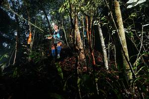 BIB: 
                            <button type="button" onclick="openModal(26389934)" class="btn btn-primary btn-sm float-right btn-popup" data-toggle="modal" data-target=".modal-high-quality">
                        <i class="fas fa-shopping-cart"></i> Add to Cart
                    </button>
                                            <button type="button" onclick="isThisMe(26389934, true)" class="btn btn-success btn-sm float-right btn-popup btn-isme hidden" data-toggle="tooltip" data-placement="bottom" title="นี่คือรูปของคุณใช่ไหม คลิกที่นี่เพื่อเอาเข้าอัลบั้ม">
                        <i class="fas fa-plus"></i> Add to album
                    </button>
                    <button type="button" onclick="isThisMe(26389934, false)" class="btn btn-warning btn-sm float-right btn-popup btn-isnotme hidden">
                        <i class="fas fa-ban"></i> Remove from album
                    </button>