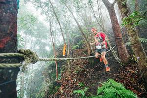 BIB: 
                            <button type="button" onclick="openModal(26402348)" class="btn btn-primary btn-sm float-right btn-popup" data-toggle="modal" data-target=".modal-high-quality">
                        <i class="fas fa-shopping-cart"></i> Add to Cart
                    </button>
                                            <button type="button" onclick="isThisMe(26402348, true)" class="btn btn-success btn-sm float-right btn-popup btn-isme hidden" data-toggle="tooltip" data-placement="bottom" title="นี่คือรูปของคุณใช่ไหม คลิกที่นี่เพื่อเอาเข้าอัลบั้ม">
                        <i class="fas fa-plus"></i> Add to album
                    </button>
                    <button type="button" onclick="isThisMe(26402348, false)" class="btn btn-warning btn-sm float-right btn-popup btn-isnotme hidden">
                        <i class="fas fa-ban"></i> Remove from album
                    </button>