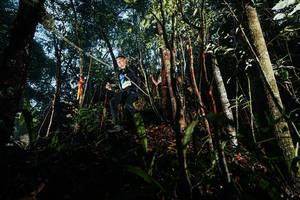 BIB: 
                            <button type="button" onclick="openModal(26392624)" class="btn btn-primary btn-sm float-right btn-popup" data-toggle="modal" data-target=".modal-high-quality">
                        <i class="fas fa-shopping-cart"></i> Add to Cart
                    </button>
                                            <button type="button" onclick="isThisMe(26392624, true)" class="btn btn-success btn-sm float-right btn-popup btn-isme hidden" data-toggle="tooltip" data-placement="bottom" title="นี่คือรูปของคุณใช่ไหม คลิกที่นี่เพื่อเอาเข้าอัลบั้ม">
                        <i class="fas fa-plus"></i> Add to album
                    </button>
                    <button type="button" onclick="isThisMe(26392624, false)" class="btn btn-warning btn-sm float-right btn-popup btn-isnotme hidden">
                        <i class="fas fa-ban"></i> Remove from album
                    </button>