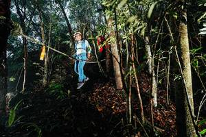 BIB: 
                            <button type="button" onclick="openModal(26394201)" class="btn btn-primary btn-sm float-right btn-popup" data-toggle="modal" data-target=".modal-high-quality">
                        <i class="fas fa-shopping-cart"></i> Add to Cart
                    </button>
                                            <button type="button" onclick="isThisMe(26394201, true)" class="btn btn-success btn-sm float-right btn-popup btn-isme hidden" data-toggle="tooltip" data-placement="bottom" title="นี่คือรูปของคุณใช่ไหม คลิกที่นี่เพื่อเอาเข้าอัลบั้ม">
                        <i class="fas fa-plus"></i> Add to album
                    </button>
                    <button type="button" onclick="isThisMe(26394201, false)" class="btn btn-warning btn-sm float-right btn-popup btn-isnotme hidden">
                        <i class="fas fa-ban"></i> Remove from album
                    </button>