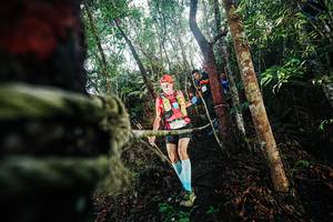 BIB: 
                            <button type="button" onclick="openModal(26399874)" class="btn btn-primary btn-sm float-right btn-popup" data-toggle="modal" data-target=".modal-high-quality">
                        <i class="fas fa-shopping-cart"></i> Add to Cart
                    </button>
                                            <button type="button" onclick="isThisMe(26399874, true)" class="btn btn-success btn-sm float-right btn-popup btn-isme hidden" data-toggle="tooltip" data-placement="bottom" title="นี่คือรูปของคุณใช่ไหม คลิกที่นี่เพื่อเอาเข้าอัลบั้ม">
                        <i class="fas fa-plus"></i> Add to album
                    </button>
                    <button type="button" onclick="isThisMe(26399874, false)" class="btn btn-warning btn-sm float-right btn-popup btn-isnotme hidden">
                        <i class="fas fa-ban"></i> Remove from album
                    </button>