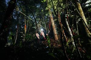 BIB: 
                            <button type="button" onclick="openModal(26387753)" class="btn btn-primary btn-sm float-right btn-popup" data-toggle="modal" data-target=".modal-high-quality">
                        <i class="fas fa-shopping-cart"></i> Add to Cart
                    </button>
                                            <button type="button" onclick="isThisMe(26387753, true)" class="btn btn-success btn-sm float-right btn-popup btn-isme hidden" data-toggle="tooltip" data-placement="bottom" title="นี่คือรูปของคุณใช่ไหม คลิกที่นี่เพื่อเอาเข้าอัลบั้ม">
                        <i class="fas fa-plus"></i> Add to album
                    </button>
                    <button type="button" onclick="isThisMe(26387753, false)" class="btn btn-warning btn-sm float-right btn-popup btn-isnotme hidden">
                        <i class="fas fa-ban"></i> Remove from album
                    </button>