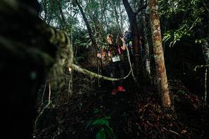 BIB: 
                            <button type="button" onclick="openModal(26396109)" class="btn btn-primary btn-sm float-right btn-popup" data-toggle="modal" data-target=".modal-high-quality">
                        <i class="fas fa-shopping-cart"></i> Add to Cart
                    </button>
                                            <button type="button" onclick="isThisMe(26396109, true)" class="btn btn-success btn-sm float-right btn-popup btn-isme hidden" data-toggle="tooltip" data-placement="bottom" title="นี่คือรูปของคุณใช่ไหม คลิกที่นี่เพื่อเอาเข้าอัลบั้ม">
                        <i class="fas fa-plus"></i> Add to album
                    </button>
                    <button type="button" onclick="isThisMe(26396109, false)" class="btn btn-warning btn-sm float-right btn-popup btn-isnotme hidden">
                        <i class="fas fa-ban"></i> Remove from album
                    </button>