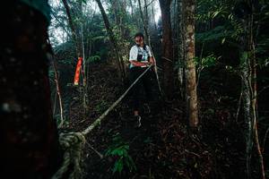 BIB: 
                            <button type="button" onclick="openModal(26401677)" class="btn btn-primary btn-sm float-right btn-popup" data-toggle="modal" data-target=".modal-high-quality">
                        <i class="fas fa-shopping-cart"></i> Add to Cart
                    </button>
                                            <button type="button" onclick="isThisMe(26401677, true)" class="btn btn-success btn-sm float-right btn-popup btn-isme hidden" data-toggle="tooltip" data-placement="bottom" title="นี่คือรูปของคุณใช่ไหม คลิกที่นี่เพื่อเอาเข้าอัลบั้ม">
                        <i class="fas fa-plus"></i> Add to album
                    </button>
                    <button type="button" onclick="isThisMe(26401677, false)" class="btn btn-warning btn-sm float-right btn-popup btn-isnotme hidden">
                        <i class="fas fa-ban"></i> Remove from album
                    </button>