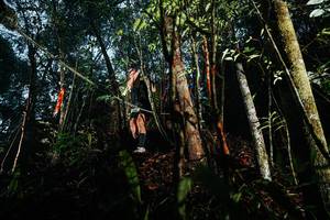 BIB: 
                            <button type="button" onclick="openModal(26393114)" class="btn btn-primary btn-sm float-right btn-popup" data-toggle="modal" data-target=".modal-high-quality">
                        <i class="fas fa-shopping-cart"></i> Add to Cart
                    </button>
                                            <button type="button" onclick="isThisMe(26393114, true)" class="btn btn-success btn-sm float-right btn-popup btn-isme hidden" data-toggle="tooltip" data-placement="bottom" title="นี่คือรูปของคุณใช่ไหม คลิกที่นี่เพื่อเอาเข้าอัลบั้ม">
                        <i class="fas fa-plus"></i> Add to album
                    </button>
                    <button type="button" onclick="isThisMe(26393114, false)" class="btn btn-warning btn-sm float-right btn-popup btn-isnotme hidden">
                        <i class="fas fa-ban"></i> Remove from album
                    </button>