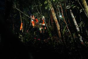 BIB: 
                            <button type="button" onclick="openModal(26385919)" class="btn btn-primary btn-sm float-right btn-popup" data-toggle="modal" data-target=".modal-high-quality">
                        <i class="fas fa-shopping-cart"></i> Add to Cart
                    </button>
                                            <button type="button" onclick="isThisMe(26385919, true)" class="btn btn-success btn-sm float-right btn-popup btn-isme hidden" data-toggle="tooltip" data-placement="bottom" title="นี่คือรูปของคุณใช่ไหม คลิกที่นี่เพื่อเอาเข้าอัลบั้ม">
                        <i class="fas fa-plus"></i> Add to album
                    </button>
                    <button type="button" onclick="isThisMe(26385919, false)" class="btn btn-warning btn-sm float-right btn-popup btn-isnotme hidden">
                        <i class="fas fa-ban"></i> Remove from album
                    </button>