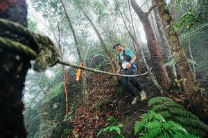 BIB: 
                            <button type="button" onclick="openModal(26402419)" class="btn btn-primary btn-sm float-right btn-popup" data-toggle="modal" data-target=".modal-high-quality">
                        <i class="fas fa-shopping-cart"></i> Add to Cart
                    </button>
                                            <button type="button" onclick="isThisMe(26402419, true)" class="btn btn-success btn-sm float-right btn-popup btn-isme hidden" data-toggle="tooltip" data-placement="bottom" title="นี่คือรูปของคุณใช่ไหม คลิกที่นี่เพื่อเอาเข้าอัลบั้ม">
                        <i class="fas fa-plus"></i> Add to album
                    </button>
                    <button type="button" onclick="isThisMe(26402419, false)" class="btn btn-warning btn-sm float-right btn-popup btn-isnotme hidden">
                        <i class="fas fa-ban"></i> Remove from album
                    </button>