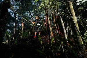 BIB: 
                            <button type="button" onclick="openModal(26390379)" class="btn btn-primary btn-sm float-right btn-popup" data-toggle="modal" data-target=".modal-high-quality">
                        <i class="fas fa-shopping-cart"></i> Add to Cart
                    </button>
                                            <button type="button" onclick="isThisMe(26390379, true)" class="btn btn-success btn-sm float-right btn-popup btn-isme hidden" data-toggle="tooltip" data-placement="bottom" title="นี่คือรูปของคุณใช่ไหม คลิกที่นี่เพื่อเอาเข้าอัลบั้ม">
                        <i class="fas fa-plus"></i> Add to album
                    </button>
                    <button type="button" onclick="isThisMe(26390379, false)" class="btn btn-warning btn-sm float-right btn-popup btn-isnotme hidden">
                        <i class="fas fa-ban"></i> Remove from album
                    </button>