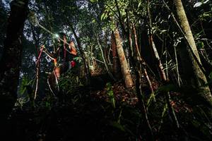 BIB: 
                            <button type="button" onclick="openModal(26388662)" class="btn btn-primary btn-sm float-right btn-popup" data-toggle="modal" data-target=".modal-high-quality">
                        <i class="fas fa-shopping-cart"></i> Add to Cart
                    </button>
                                            <button type="button" onclick="isThisMe(26388662, true)" class="btn btn-success btn-sm float-right btn-popup btn-isme hidden" data-toggle="tooltip" data-placement="bottom" title="นี่คือรูปของคุณใช่ไหม คลิกที่นี่เพื่อเอาเข้าอัลบั้ม">
                        <i class="fas fa-plus"></i> Add to album
                    </button>
                    <button type="button" onclick="isThisMe(26388662, false)" class="btn btn-warning btn-sm float-right btn-popup btn-isnotme hidden">
                        <i class="fas fa-ban"></i> Remove from album
                    </button>