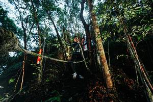 BIB: 
                            <button type="button" onclick="openModal(26395412)" class="btn btn-primary btn-sm float-right btn-popup" data-toggle="modal" data-target=".modal-high-quality">
                        <i class="fas fa-shopping-cart"></i> Add to Cart
                    </button>
                                            <button type="button" onclick="isThisMe(26395412, true)" class="btn btn-success btn-sm float-right btn-popup btn-isme hidden" data-toggle="tooltip" data-placement="bottom" title="นี่คือรูปของคุณใช่ไหม คลิกที่นี่เพื่อเอาเข้าอัลบั้ม">
                        <i class="fas fa-plus"></i> Add to album
                    </button>
                    <button type="button" onclick="isThisMe(26395412, false)" class="btn btn-warning btn-sm float-right btn-popup btn-isnotme hidden">
                        <i class="fas fa-ban"></i> Remove from album
                    </button>