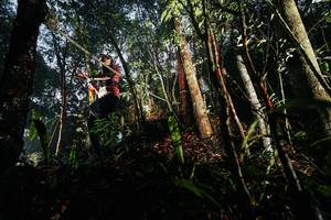 BIB: 
                            <button type="button" onclick="openModal(26389274)" class="btn btn-primary btn-sm float-right btn-popup" data-toggle="modal" data-target=".modal-high-quality">
                        <i class="fas fa-shopping-cart"></i> Add to Cart
                    </button>
                                            <button type="button" onclick="isThisMe(26389274, true)" class="btn btn-success btn-sm float-right btn-popup btn-isme hidden" data-toggle="tooltip" data-placement="bottom" title="นี่คือรูปของคุณใช่ไหม คลิกที่นี่เพื่อเอาเข้าอัลบั้ม">
                        <i class="fas fa-plus"></i> Add to album
                    </button>
                    <button type="button" onclick="isThisMe(26389274, false)" class="btn btn-warning btn-sm float-right btn-popup btn-isnotme hidden">
                        <i class="fas fa-ban"></i> Remove from album
                    </button>