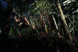 BIB: 
                            <button type="button" onclick="openModal(26386964)" class="btn btn-primary btn-sm float-right btn-popup" data-toggle="modal" data-target=".modal-high-quality">
                        <i class="fas fa-shopping-cart"></i> Add to Cart
                    </button>
                                            <button type="button" onclick="isThisMe(26386964, true)" class="btn btn-success btn-sm float-right btn-popup btn-isme hidden" data-toggle="tooltip" data-placement="bottom" title="นี่คือรูปของคุณใช่ไหม คลิกที่นี่เพื่อเอาเข้าอัลบั้ม">
                        <i class="fas fa-plus"></i> Add to album
                    </button>
                    <button type="button" onclick="isThisMe(26386964, false)" class="btn btn-warning btn-sm float-right btn-popup btn-isnotme hidden">
                        <i class="fas fa-ban"></i> Remove from album
                    </button>