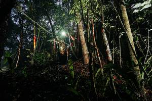 BIB: 
                            <button type="button" onclick="openModal(26388605)" class="btn btn-primary btn-sm float-right btn-popup" data-toggle="modal" data-target=".modal-high-quality">
                        <i class="fas fa-shopping-cart"></i> Add to Cart
                    </button>
                                            <button type="button" onclick="isThisMe(26388605, true)" class="btn btn-success btn-sm float-right btn-popup btn-isme hidden" data-toggle="tooltip" data-placement="bottom" title="นี่คือรูปของคุณใช่ไหม คลิกที่นี่เพื่อเอาเข้าอัลบั้ม">
                        <i class="fas fa-plus"></i> Add to album
                    </button>
                    <button type="button" onclick="isThisMe(26388605, false)" class="btn btn-warning btn-sm float-right btn-popup btn-isnotme hidden">
                        <i class="fas fa-ban"></i> Remove from album
                    </button>