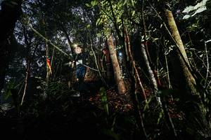 BIB: 
                            <button type="button" onclick="openModal(26388759)" class="btn btn-primary btn-sm float-right btn-popup" data-toggle="modal" data-target=".modal-high-quality">
                        <i class="fas fa-shopping-cart"></i> Add to Cart
                    </button>
                                            <button type="button" onclick="isThisMe(26388759, true)" class="btn btn-success btn-sm float-right btn-popup btn-isme hidden" data-toggle="tooltip" data-placement="bottom" title="นี่คือรูปของคุณใช่ไหม คลิกที่นี่เพื่อเอาเข้าอัลบั้ม">
                        <i class="fas fa-plus"></i> Add to album
                    </button>
                    <button type="button" onclick="isThisMe(26388759, false)" class="btn btn-warning btn-sm float-right btn-popup btn-isnotme hidden">
                        <i class="fas fa-ban"></i> Remove from album
                    </button>