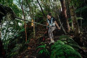 BIB: 
                            <button type="button" onclick="openModal(26406523)" class="btn btn-primary btn-sm float-right btn-popup" data-toggle="modal" data-target=".modal-high-quality">
                        <i class="fas fa-shopping-cart"></i> Add to Cart
                    </button>
                                            <button type="button" onclick="isThisMe(26406523, true)" class="btn btn-success btn-sm float-right btn-popup btn-isme hidden" data-toggle="tooltip" data-placement="bottom" title="นี่คือรูปของคุณใช่ไหม คลิกที่นี่เพื่อเอาเข้าอัลบั้ม">
                        <i class="fas fa-plus"></i> Add to album
                    </button>
                    <button type="button" onclick="isThisMe(26406523, false)" class="btn btn-warning btn-sm float-right btn-popup btn-isnotme hidden">
                        <i class="fas fa-ban"></i> Remove from album
                    </button>