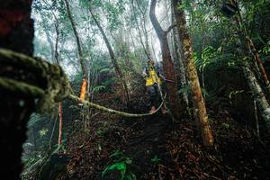 BIB: 
                            <button type="button" onclick="openModal(26402263)" class="btn btn-primary btn-sm float-right btn-popup" data-toggle="modal" data-target=".modal-high-quality">
                        <i class="fas fa-shopping-cart"></i> Add to Cart
                    </button>
                                            <button type="button" onclick="isThisMe(26402263, true)" class="btn btn-success btn-sm float-right btn-popup btn-isme hidden" data-toggle="tooltip" data-placement="bottom" title="นี่คือรูปของคุณใช่ไหม คลิกที่นี่เพื่อเอาเข้าอัลบั้ม">
                        <i class="fas fa-plus"></i> Add to album
                    </button>
                    <button type="button" onclick="isThisMe(26402263, false)" class="btn btn-warning btn-sm float-right btn-popup btn-isnotme hidden">
                        <i class="fas fa-ban"></i> Remove from album
                    </button>