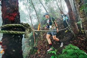 BIB: 
                            <button type="button" onclick="openModal(26402383)" class="btn btn-primary btn-sm float-right btn-popup" data-toggle="modal" data-target=".modal-high-quality">
                        <i class="fas fa-shopping-cart"></i> Add to Cart
                    </button>
                                            <button type="button" onclick="isThisMe(26402383, true)" class="btn btn-success btn-sm float-right btn-popup btn-isme hidden" data-toggle="tooltip" data-placement="bottom" title="นี่คือรูปของคุณใช่ไหม คลิกที่นี่เพื่อเอาเข้าอัลบั้ม">
                        <i class="fas fa-plus"></i> Add to album
                    </button>
                    <button type="button" onclick="isThisMe(26402383, false)" class="btn btn-warning btn-sm float-right btn-popup btn-isnotme hidden">
                        <i class="fas fa-ban"></i> Remove from album
                    </button>