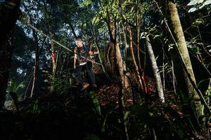 BIB: 
                            <button type="button" onclick="openModal(26390971)" class="btn btn-primary btn-sm float-right btn-popup" data-toggle="modal" data-target=".modal-high-quality">
                        <i class="fas fa-shopping-cart"></i> Add to Cart
                    </button>
                                            <button type="button" onclick="isThisMe(26390971, true)" class="btn btn-success btn-sm float-right btn-popup btn-isme hidden" data-toggle="tooltip" data-placement="bottom" title="นี่คือรูปของคุณใช่ไหม คลิกที่นี่เพื่อเอาเข้าอัลบั้ม">
                        <i class="fas fa-plus"></i> Add to album
                    </button>
                    <button type="button" onclick="isThisMe(26390971, false)" class="btn btn-warning btn-sm float-right btn-popup btn-isnotme hidden">
                        <i class="fas fa-ban"></i> Remove from album
                    </button>