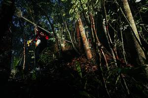 BIB: 
                            <button type="button" onclick="openModal(26387302)" class="btn btn-primary btn-sm float-right btn-popup" data-toggle="modal" data-target=".modal-high-quality">
                        <i class="fas fa-shopping-cart"></i> Add to Cart
                    </button>
                                            <button type="button" onclick="isThisMe(26387302, true)" class="btn btn-success btn-sm float-right btn-popup btn-isme hidden" data-toggle="tooltip" data-placement="bottom" title="นี่คือรูปของคุณใช่ไหม คลิกที่นี่เพื่อเอาเข้าอัลบั้ม">
                        <i class="fas fa-plus"></i> Add to album
                    </button>
                    <button type="button" onclick="isThisMe(26387302, false)" class="btn btn-warning btn-sm float-right btn-popup btn-isnotme hidden">
                        <i class="fas fa-ban"></i> Remove from album
                    </button>