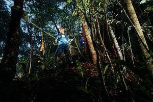 BIB: 
                            <button type="button" onclick="openModal(26391244)" class="btn btn-primary btn-sm float-right btn-popup" data-toggle="modal" data-target=".modal-high-quality">
                        <i class="fas fa-shopping-cart"></i> Add to Cart
                    </button>
                                            <button type="button" onclick="isThisMe(26391244, true)" class="btn btn-success btn-sm float-right btn-popup btn-isme hidden" data-toggle="tooltip" data-placement="bottom" title="นี่คือรูปของคุณใช่ไหม คลิกที่นี่เพื่อเอาเข้าอัลบั้ม">
                        <i class="fas fa-plus"></i> Add to album
                    </button>
                    <button type="button" onclick="isThisMe(26391244, false)" class="btn btn-warning btn-sm float-right btn-popup btn-isnotme hidden">
                        <i class="fas fa-ban"></i> Remove from album
                    </button>