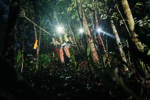 BIB: 
                            <button type="button" onclick="openModal(26386549)" class="btn btn-primary btn-sm float-right btn-popup" data-toggle="modal" data-target=".modal-high-quality">
                        <i class="fas fa-shopping-cart"></i> Add to Cart
                    </button>
                                            <button type="button" onclick="isThisMe(26386549, true)" class="btn btn-success btn-sm float-right btn-popup btn-isme hidden" data-toggle="tooltip" data-placement="bottom" title="นี่คือรูปของคุณใช่ไหม คลิกที่นี่เพื่อเอาเข้าอัลบั้ม">
                        <i class="fas fa-plus"></i> Add to album
                    </button>
                    <button type="button" onclick="isThisMe(26386549, false)" class="btn btn-warning btn-sm float-right btn-popup btn-isnotme hidden">
                        <i class="fas fa-ban"></i> Remove from album
                    </button>