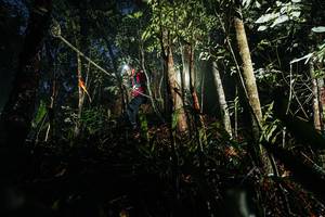 BIB: 
                            <button type="button" onclick="openModal(26386802)" class="btn btn-primary btn-sm float-right btn-popup" data-toggle="modal" data-target=".modal-high-quality">
                        <i class="fas fa-shopping-cart"></i> Add to Cart
                    </button>
                                            <button type="button" onclick="isThisMe(26386802, true)" class="btn btn-success btn-sm float-right btn-popup btn-isme hidden" data-toggle="tooltip" data-placement="bottom" title="นี่คือรูปของคุณใช่ไหม คลิกที่นี่เพื่อเอาเข้าอัลบั้ม">
                        <i class="fas fa-plus"></i> Add to album
                    </button>
                    <button type="button" onclick="isThisMe(26386802, false)" class="btn btn-warning btn-sm float-right btn-popup btn-isnotme hidden">
                        <i class="fas fa-ban"></i> Remove from album
                    </button>