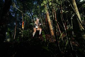 BIB: 
                            <button type="button" onclick="openModal(26387434)" class="btn btn-primary btn-sm float-right btn-popup" data-toggle="modal" data-target=".modal-high-quality">
                        <i class="fas fa-shopping-cart"></i> Add to Cart
                    </button>
                                            <button type="button" onclick="isThisMe(26387434, true)" class="btn btn-success btn-sm float-right btn-popup btn-isme hidden" data-toggle="tooltip" data-placement="bottom" title="นี่คือรูปของคุณใช่ไหม คลิกที่นี่เพื่อเอาเข้าอัลบั้ม">
                        <i class="fas fa-plus"></i> Add to album
                    </button>
                    <button type="button" onclick="isThisMe(26387434, false)" class="btn btn-warning btn-sm float-right btn-popup btn-isnotme hidden">
                        <i class="fas fa-ban"></i> Remove from album
                    </button>