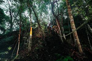 BIB: 
                            <button type="button" onclick="openModal(26396502)" class="btn btn-primary btn-sm float-right btn-popup" data-toggle="modal" data-target=".modal-high-quality">
                        <i class="fas fa-shopping-cart"></i> Add to Cart
                    </button>
                                            <button type="button" onclick="isThisMe(26396502, true)" class="btn btn-success btn-sm float-right btn-popup btn-isme hidden" data-toggle="tooltip" data-placement="bottom" title="นี่คือรูปของคุณใช่ไหม คลิกที่นี่เพื่อเอาเข้าอัลบั้ม">
                        <i class="fas fa-plus"></i> Add to album
                    </button>
                    <button type="button" onclick="isThisMe(26396502, false)" class="btn btn-warning btn-sm float-right btn-popup btn-isnotme hidden">
                        <i class="fas fa-ban"></i> Remove from album
                    </button>