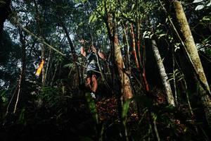 BIB: 
                            <button type="button" onclick="openModal(26393505)" class="btn btn-primary btn-sm float-right btn-popup" data-toggle="modal" data-target=".modal-high-quality">
                        <i class="fas fa-shopping-cart"></i> Add to Cart
                    </button>
                                            <button type="button" onclick="isThisMe(26393505, true)" class="btn btn-success btn-sm float-right btn-popup btn-isme hidden" data-toggle="tooltip" data-placement="bottom" title="นี่คือรูปของคุณใช่ไหม คลิกที่นี่เพื่อเอาเข้าอัลบั้ม">
                        <i class="fas fa-plus"></i> Add to album
                    </button>
                    <button type="button" onclick="isThisMe(26393505, false)" class="btn btn-warning btn-sm float-right btn-popup btn-isnotme hidden">
                        <i class="fas fa-ban"></i> Remove from album
                    </button>