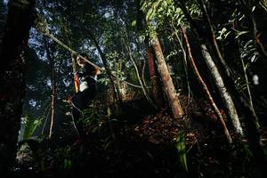 BIB: 
                            <button type="button" onclick="openModal(26388304)" class="btn btn-primary btn-sm float-right btn-popup" data-toggle="modal" data-target=".modal-high-quality">
                        <i class="fas fa-shopping-cart"></i> Add to Cart
                    </button>
                                            <button type="button" onclick="isThisMe(26388304, true)" class="btn btn-success btn-sm float-right btn-popup btn-isme hidden" data-toggle="tooltip" data-placement="bottom" title="นี่คือรูปของคุณใช่ไหม คลิกที่นี่เพื่อเอาเข้าอัลบั้ม">
                        <i class="fas fa-plus"></i> Add to album
                    </button>
                    <button type="button" onclick="isThisMe(26388304, false)" class="btn btn-warning btn-sm float-right btn-popup btn-isnotme hidden">
                        <i class="fas fa-ban"></i> Remove from album
                    </button>